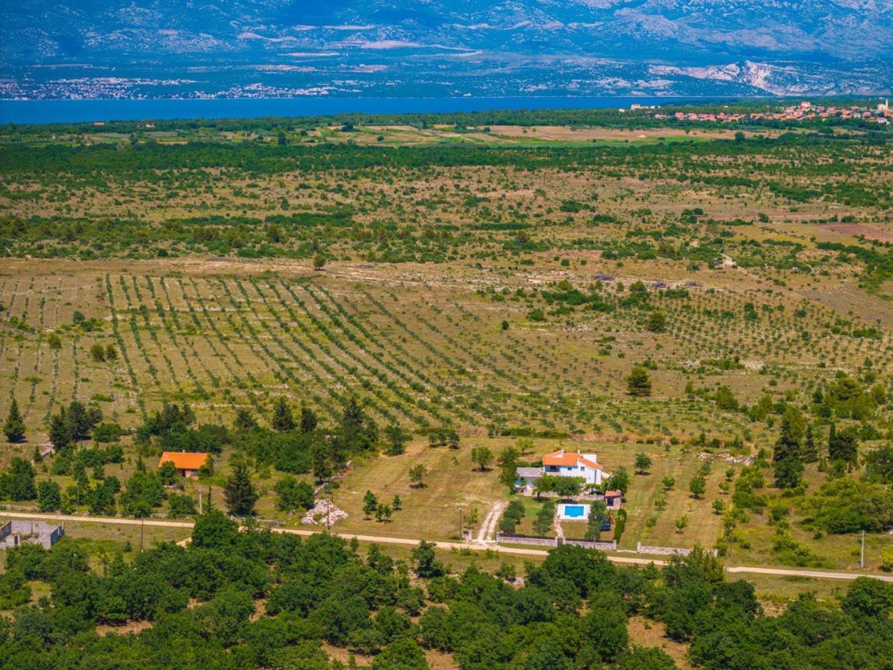 Villa Mandorla With Private Pool Zadar Exterior photo